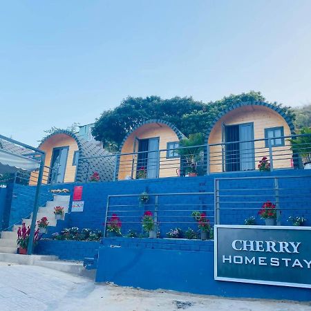 Cherry Homestay Bungalow ブンタオ エクステリア 写真