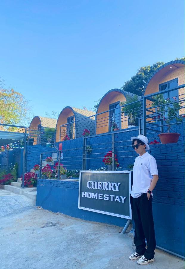 Cherry Homestay Bungalow ブンタオ エクステリア 写真