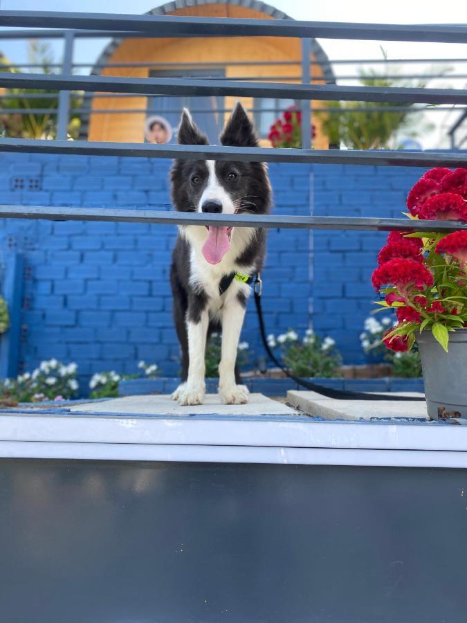 Cherry Homestay Bungalow ブンタオ エクステリア 写真